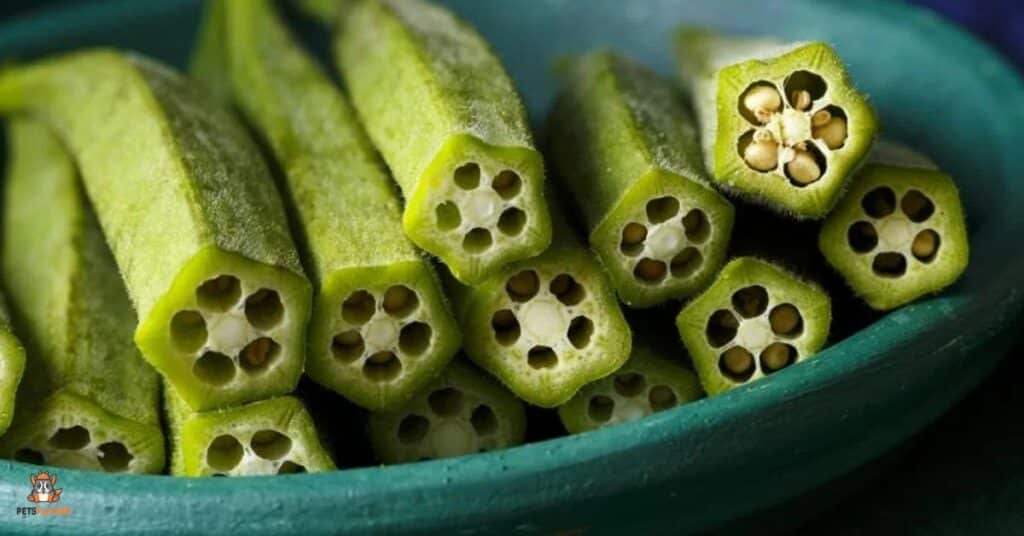 What’s the Best Way to Serve Dogs Okra