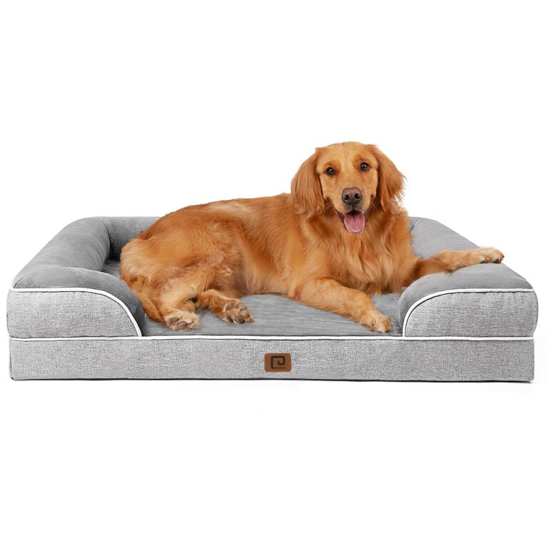 Best Dog Bed Options