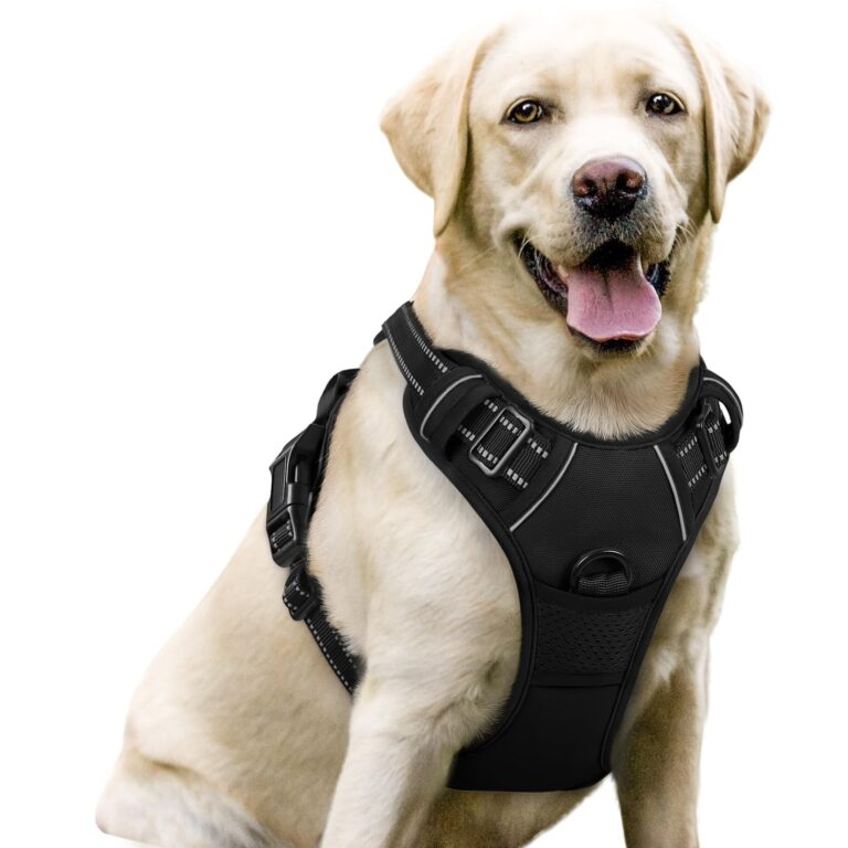 Best Dog Harnesses