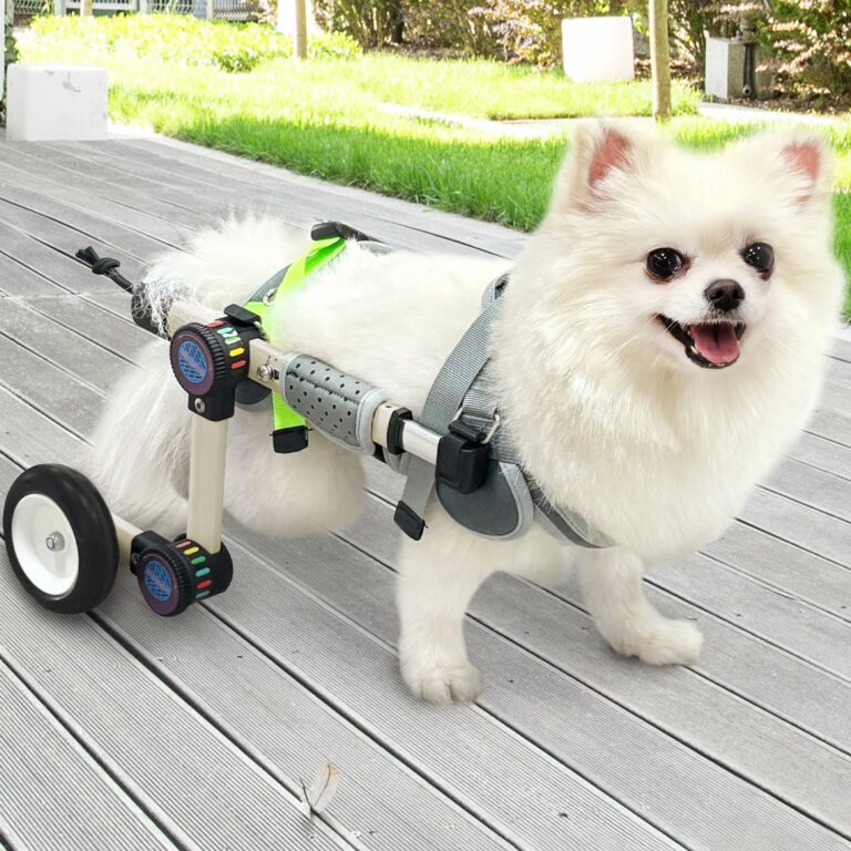 Best Dog Wheelchair