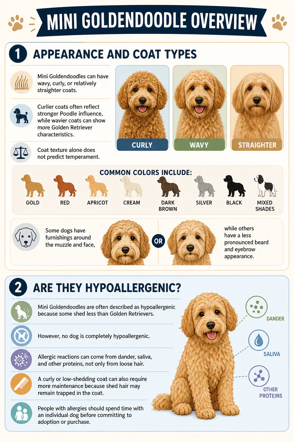 Are They Hypoallergenic?