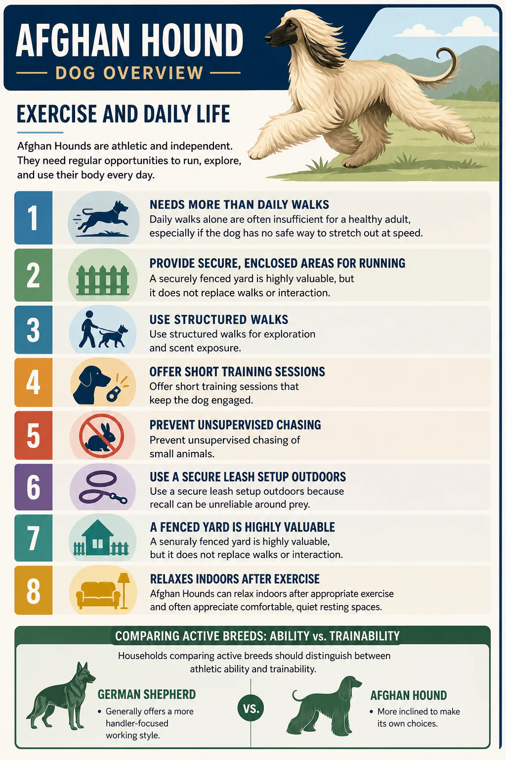 Exercise and Daily Life