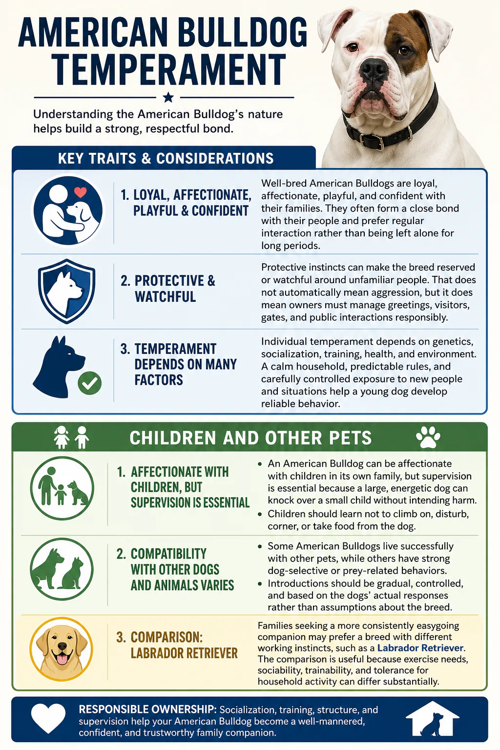 Children and other pets