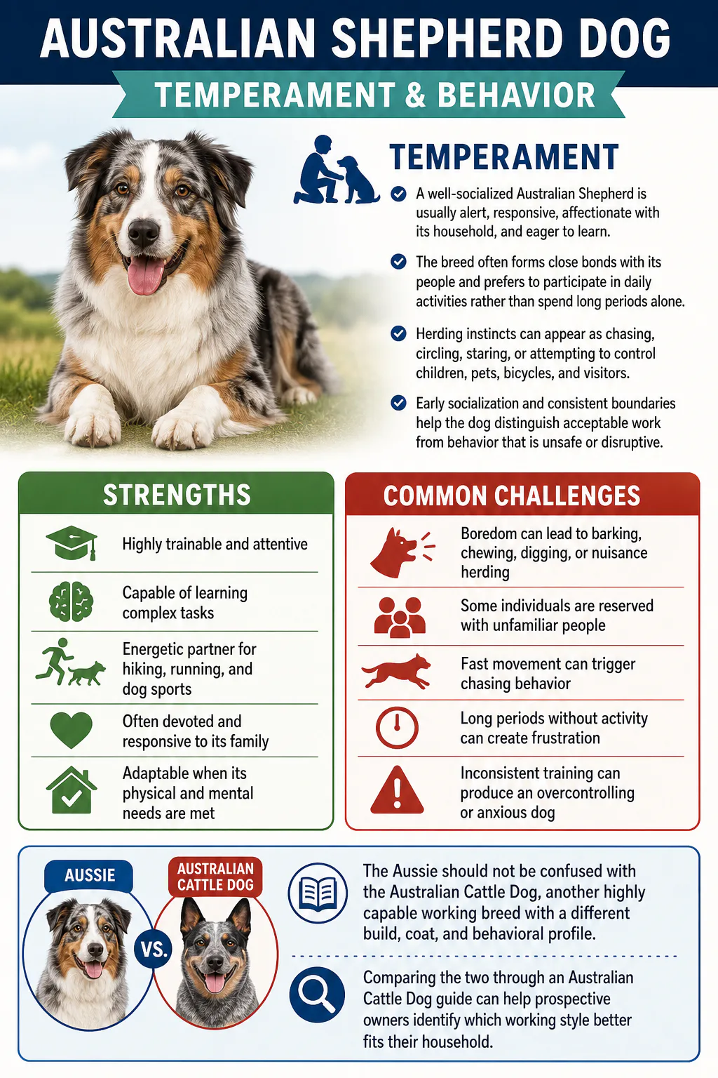 Common challenges