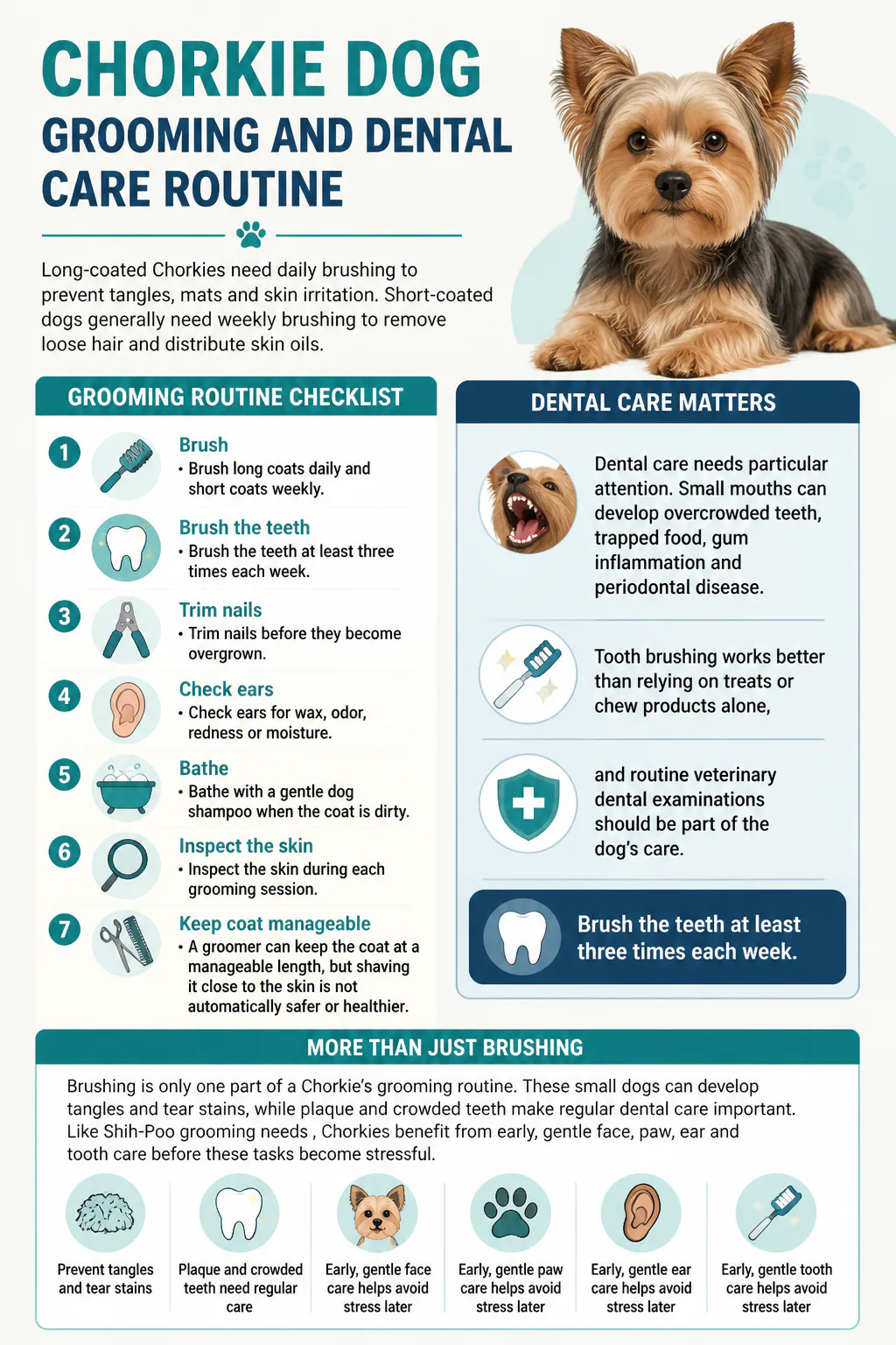 Grooming and Dental Care Routine