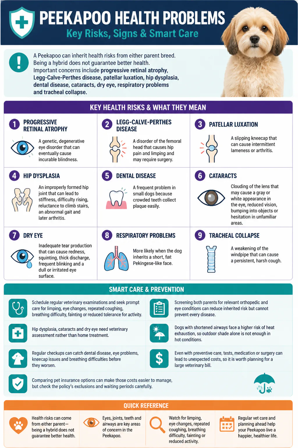Peekapoo Health Problems